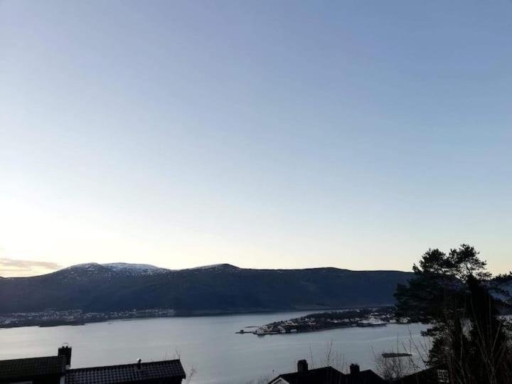 Cozy, Inspiring Apartment!!! Ålesund Eksteriør bilde